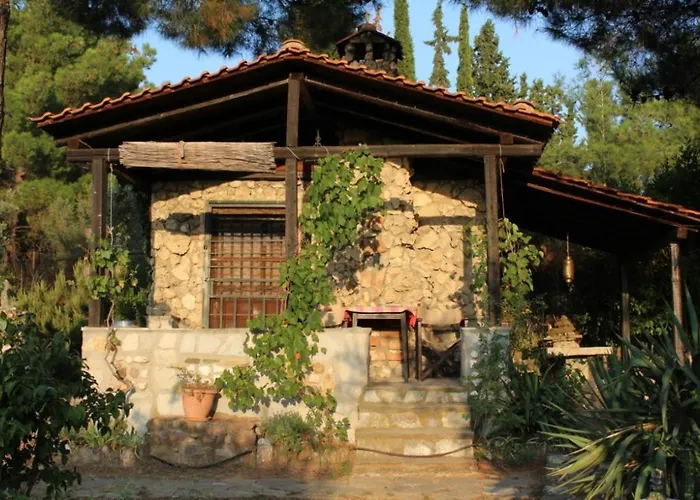Cottage House In 2,5 Acres Near Suburban Forest.