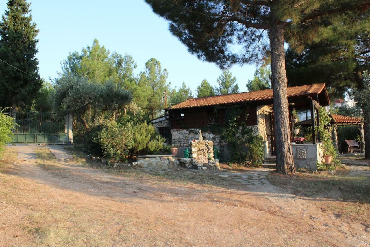 Holiday home House In 2,5 Acres Near Suburban Forest.