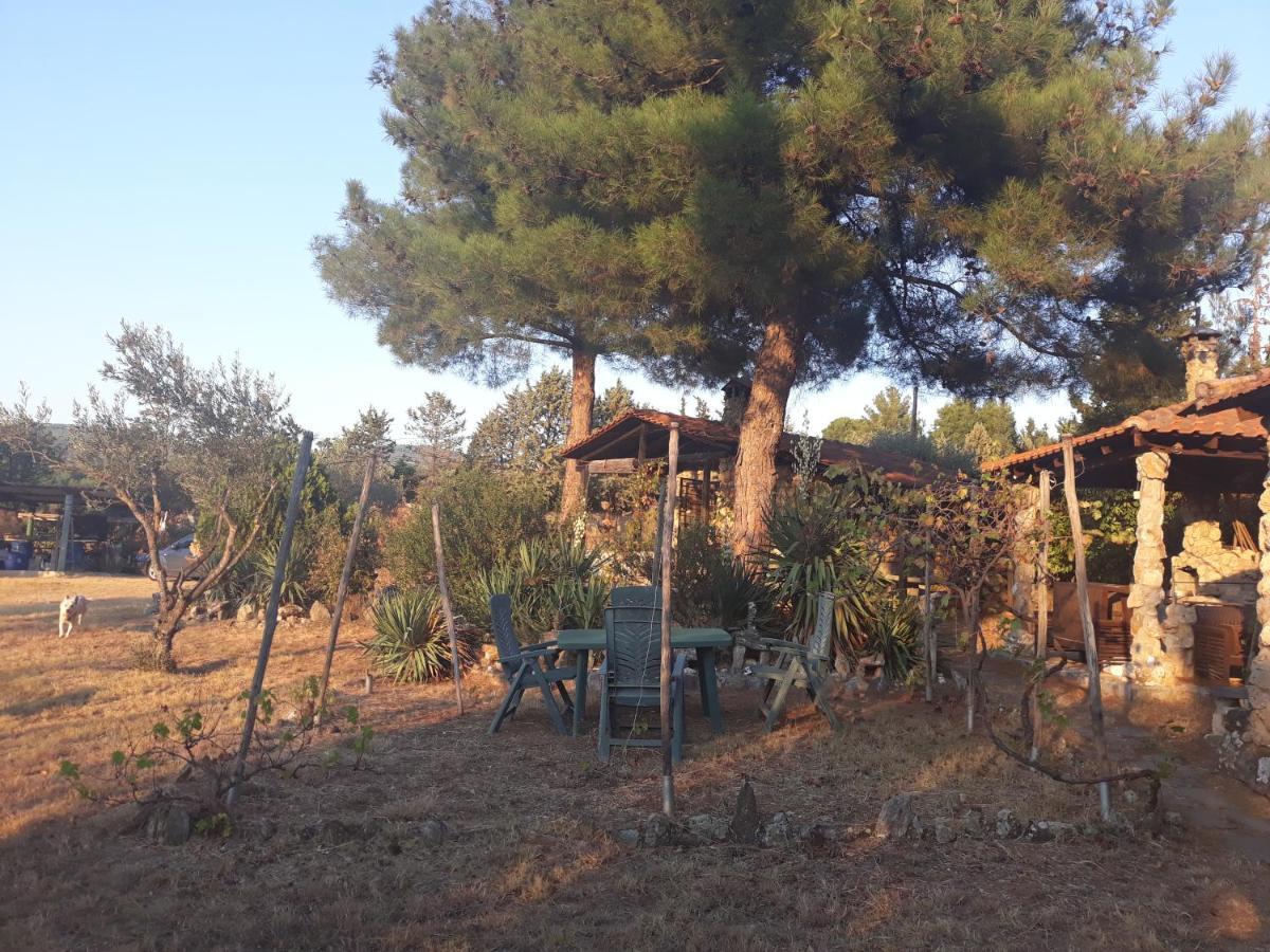 House In 2,5 Acres Near Suburban Forest. *