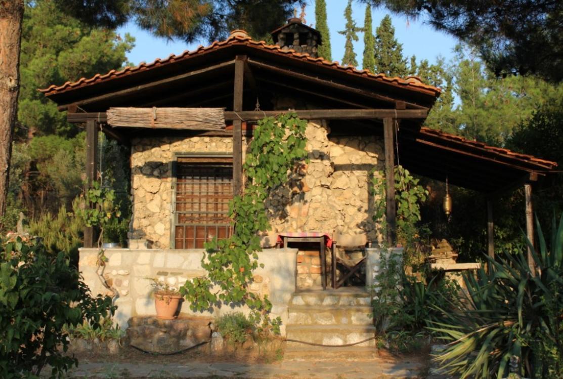 House In 2,5 Acres Near Suburban Forest. * Thessaloniki