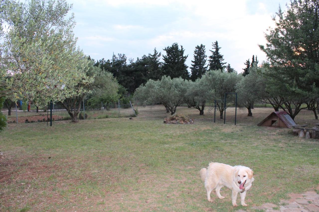 House In 2,5 Acres Near Suburban Forest. * Thessaloniki